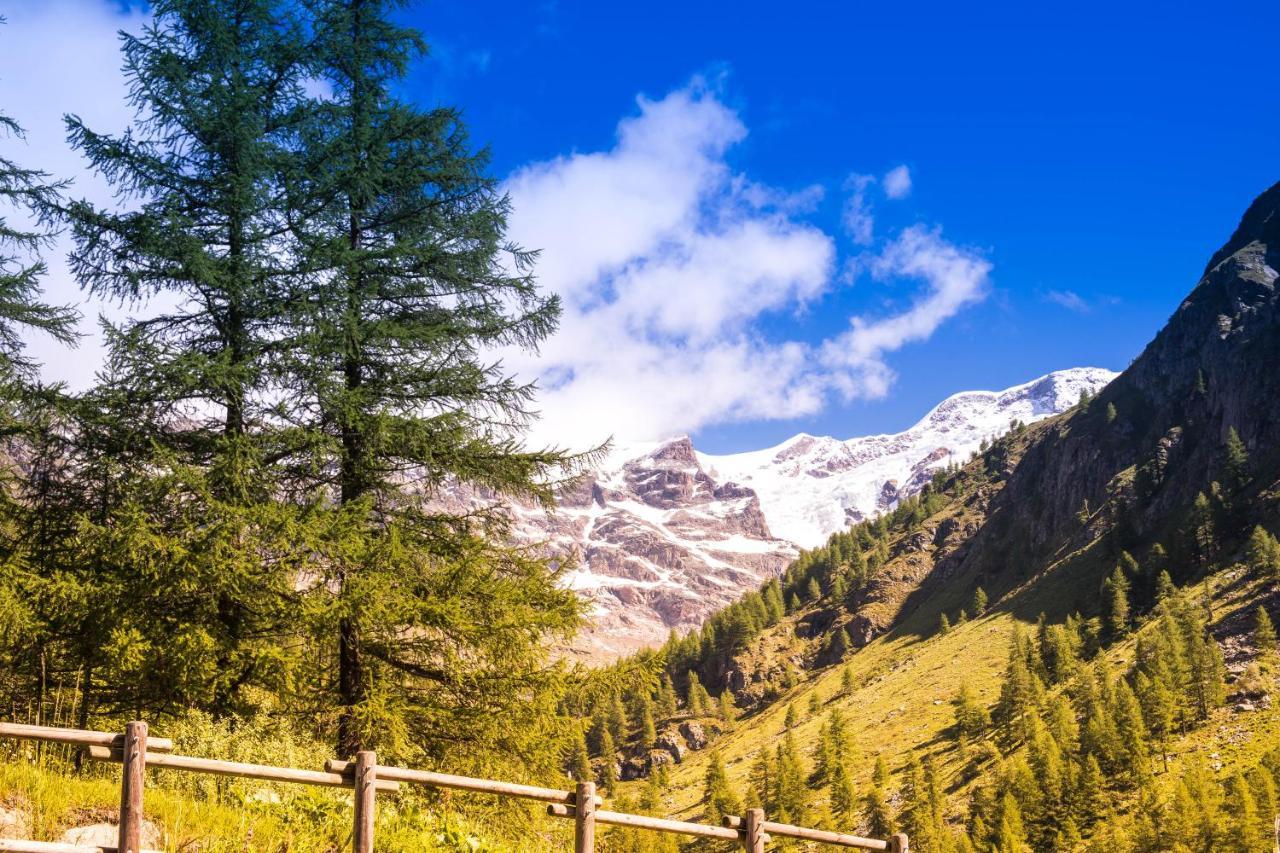 Alta Luce Mountain Lodge Gressoney-la-Trinité Buitenkant foto