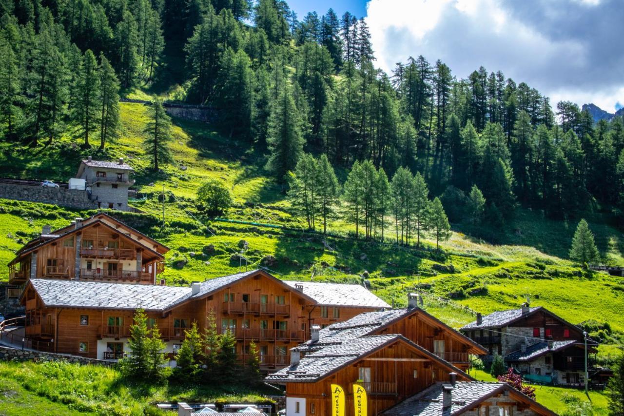 Alta Luce Mountain Lodge Gressoney-la-Trinité Buitenkant foto